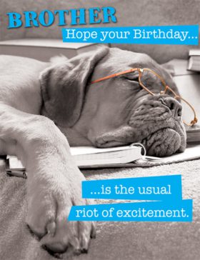 Brother Sleeping Dog Birthday Card