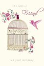 Friend Bird Cage