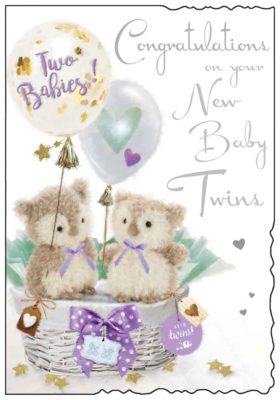 Congratulations New Baby Twins Card