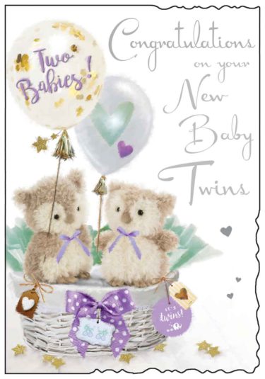 Congratulations New Baby Twins Card